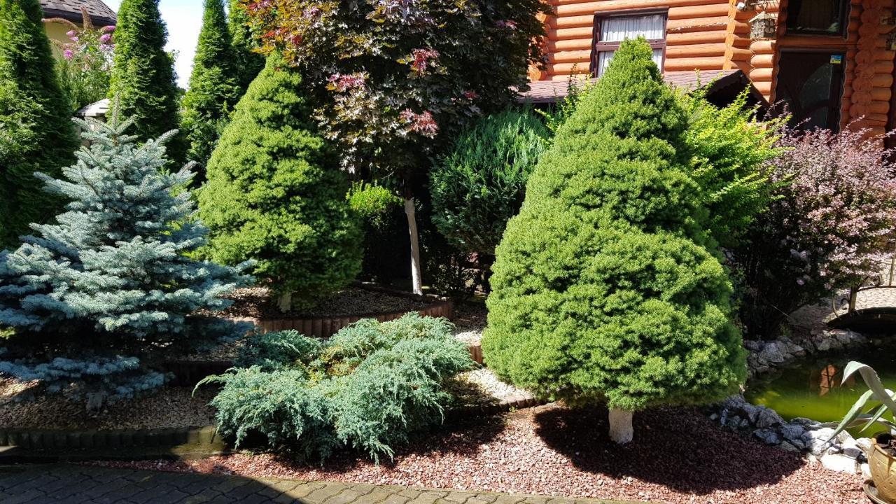 Luxury Villa With Pool And Sauna Chernivtsi Bagian luar foto